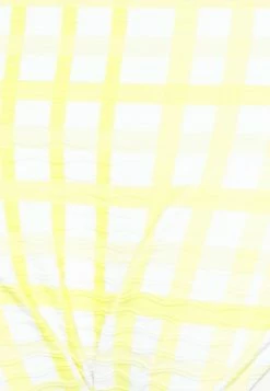 Seafolly CHECK TRIM HIPSTER PANT - Bikini Bottoms - Lime Light -Seafolly Shop 0d3e47b3ed5c4247af4c5d1d26bd66ad